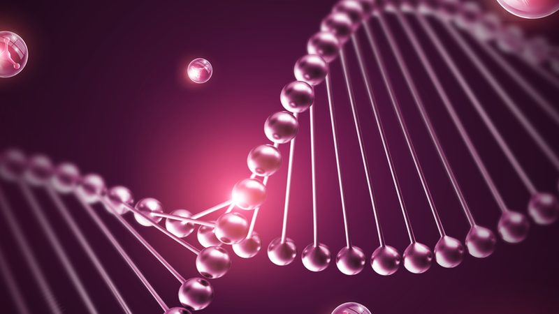 单抗药物规格验证：关键步骤与质量保障