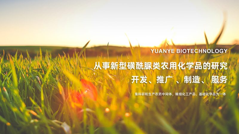 Pfu酶与Taq酶：扩增速度对比解析