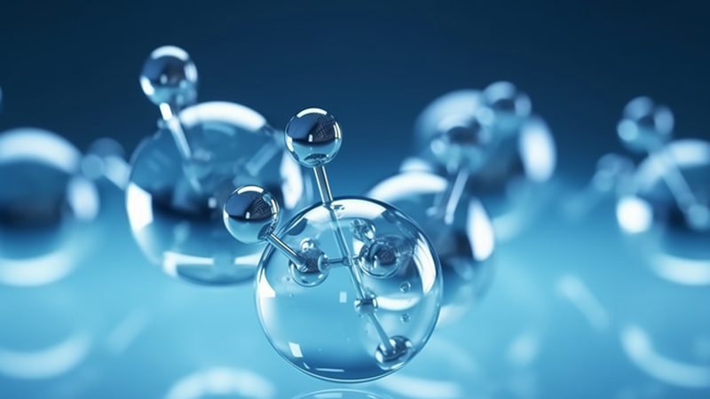 脂肪酶：揭秘其背后的生产奥秘与选择之道**