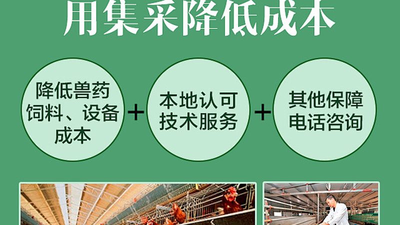 上海实验室耗材供应商推荐