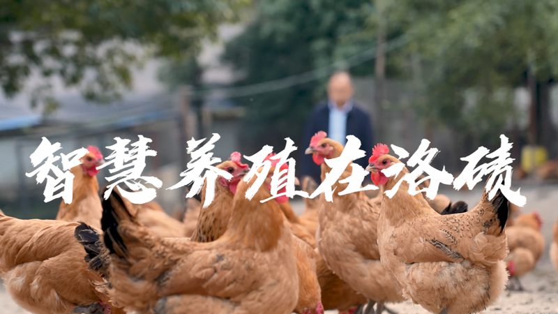 CDMO项目外包，如何规避潜在风险？**