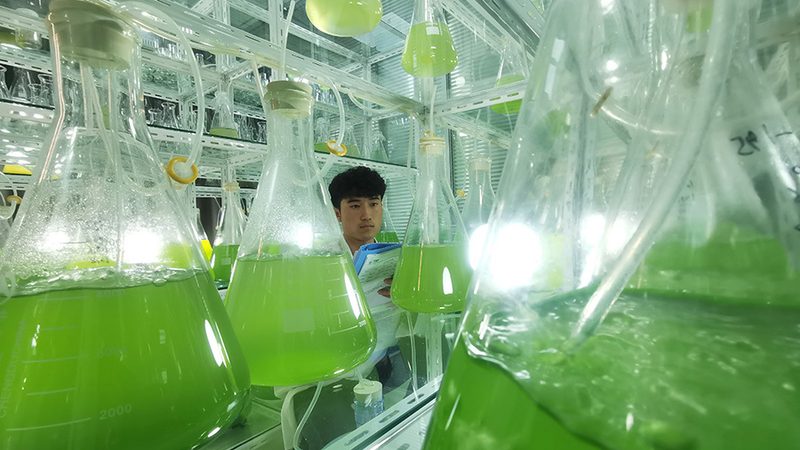 生物制品储存温度稳定性：关键因素与挑战**